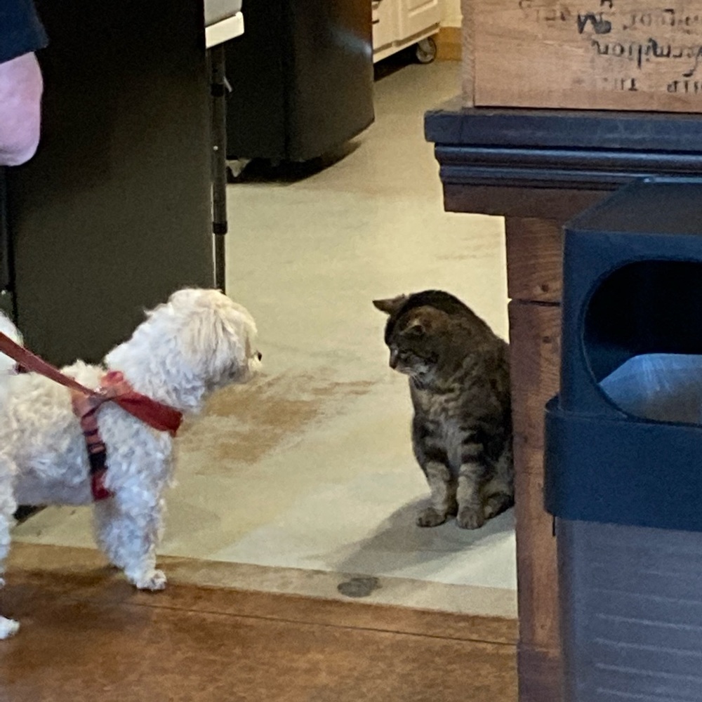 Hello! - Picture 4 of 10